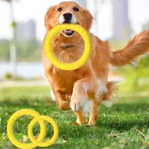 disco voador para cães flutuante