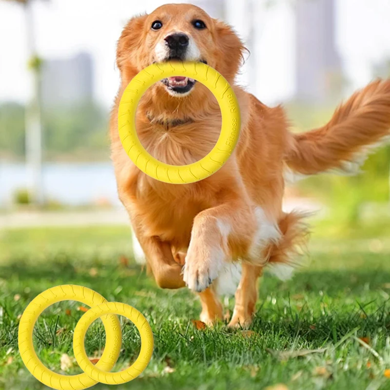 disco voador para cães flutuante