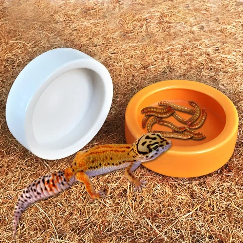alimentador cerâmico para répteis