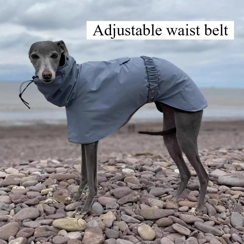 Capa de Chuva para Cães Grandes com Gola Alta e Lavável - Imagem 4