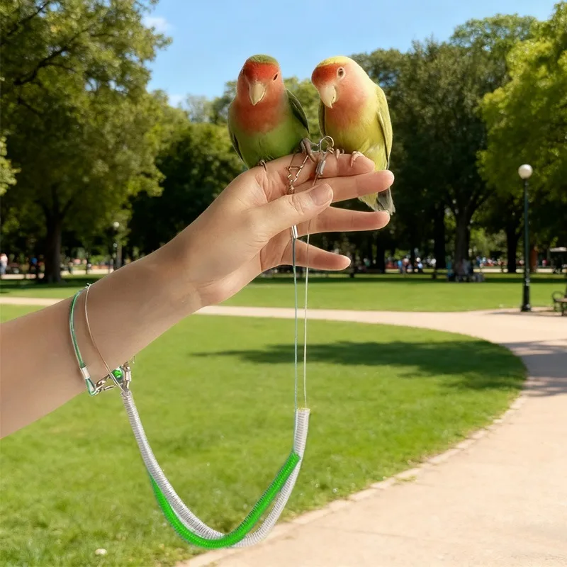 Corda de Treinamento para Pássaros Ajustável Verde Universal - Imagem 3