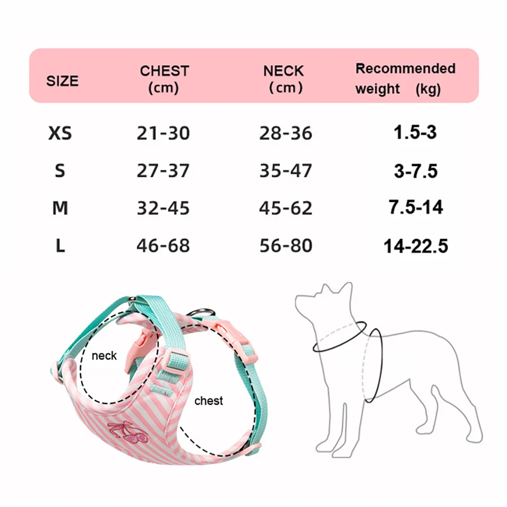 Coleira e Guia para Cães Pequenos com Design Estampado - Imagem 6