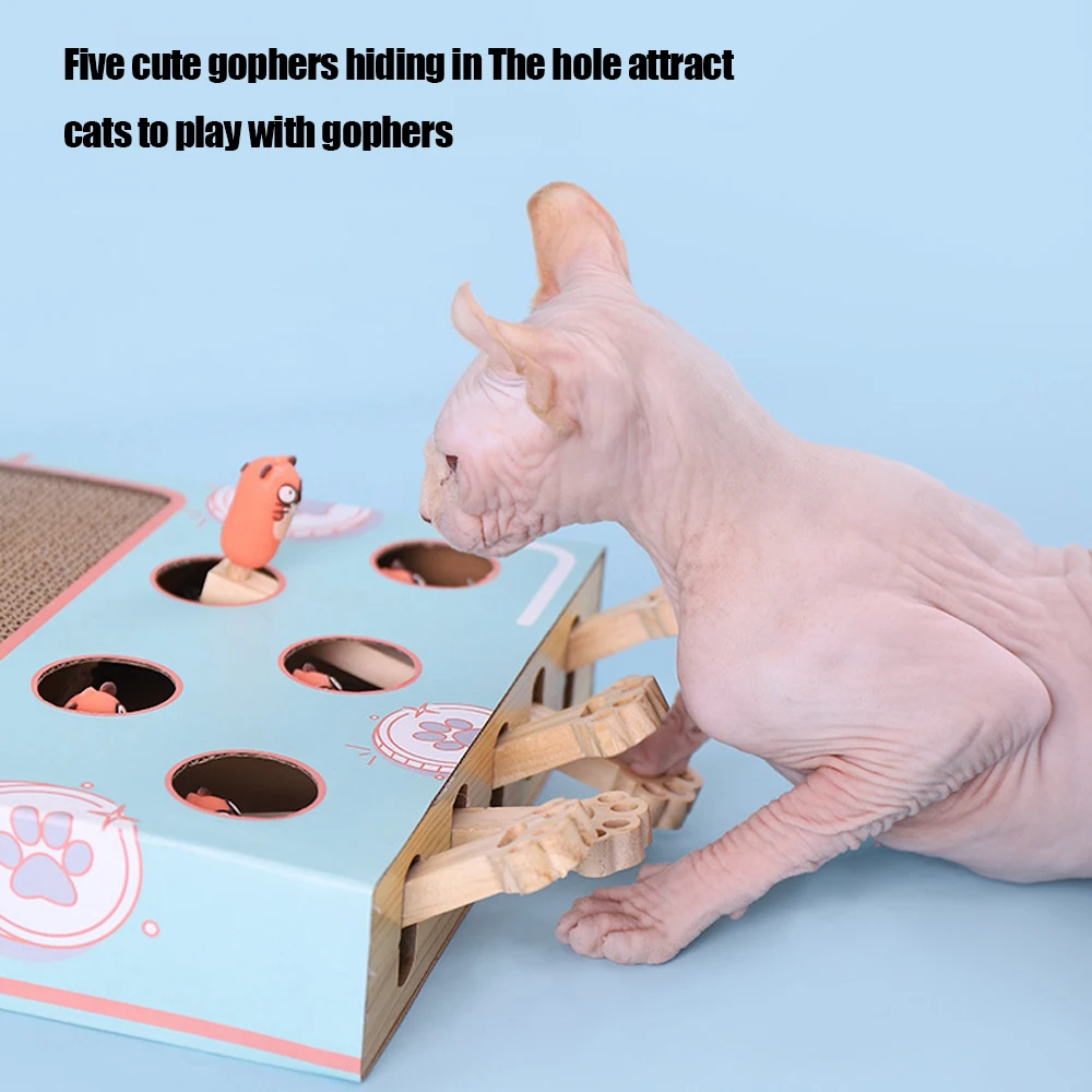 Brinquedo Labirinto para Gatos com Arranhador de Papel Ondulado - Image 2
