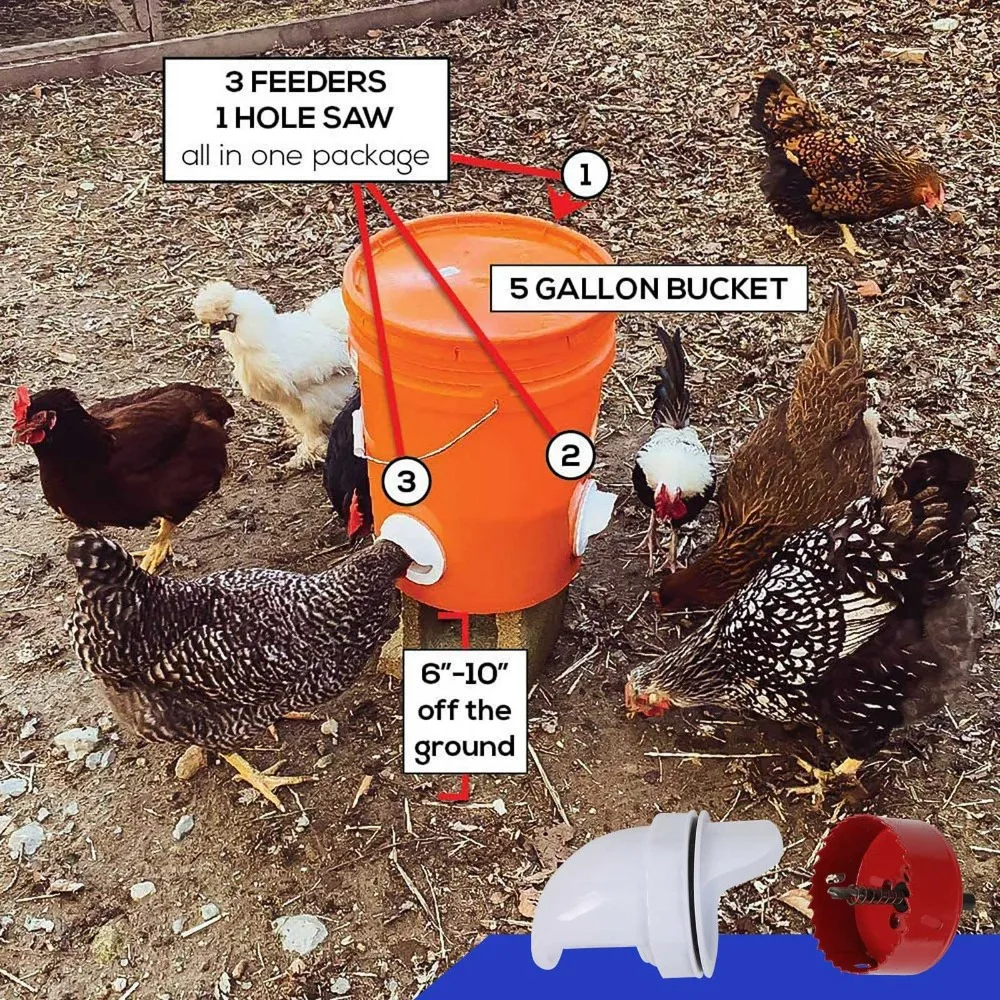 Comedouro Automático por Gravidade para Aves com Capa de Chuva - Imagem 3