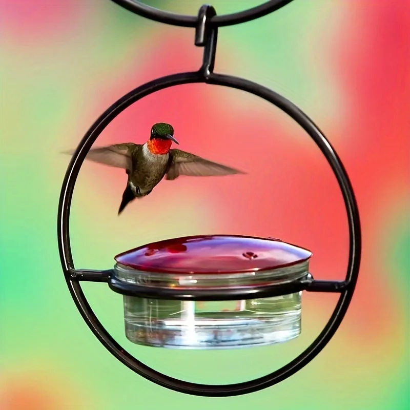 Alimentador de Beija-flor de Metal com Poleiro Circular - Imagem 6
