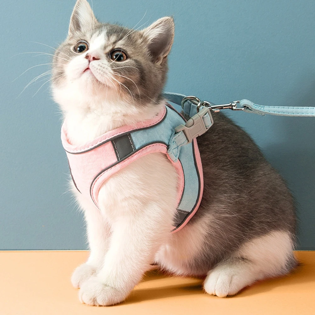 Colete Refletivo para Cães e Gatos de Camurça com Guia - Imagem 4