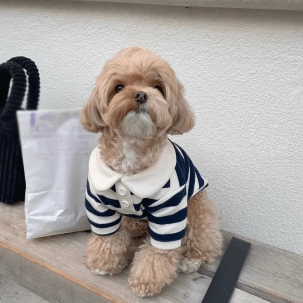 Roupa para Cães e Gatos de Poliéster Listrada com Gola - Image 4