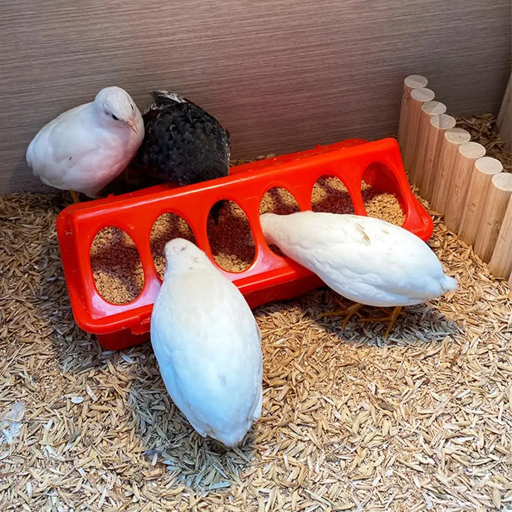 Bebedouro Rudin para Aves e Pintinhos de Plástico com Borda Lisa - Imagem 2