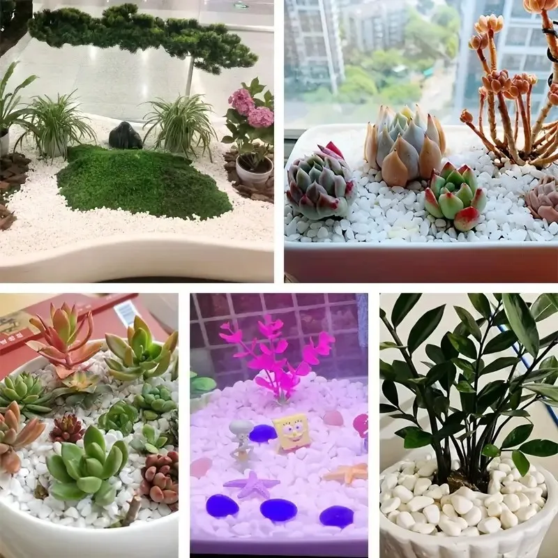Pedras Decorativas para Aquário 500g Seixo Branco Polido Natural - Imagem 6