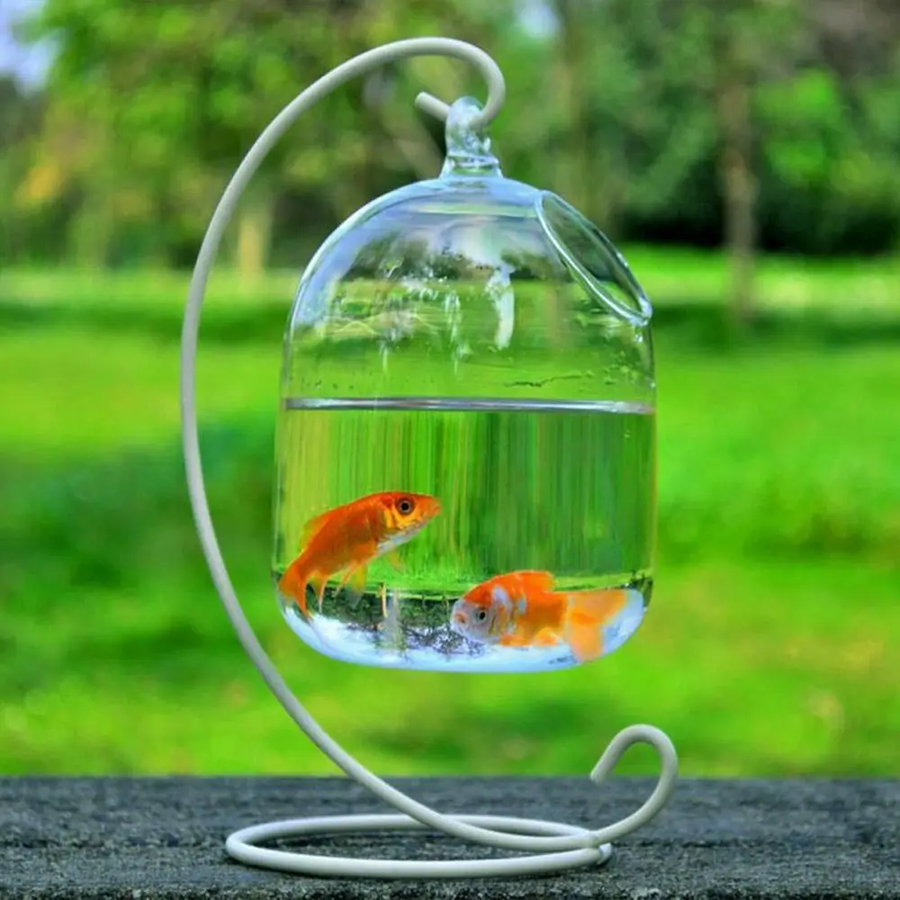 aquário de vidro suspenso para peixes