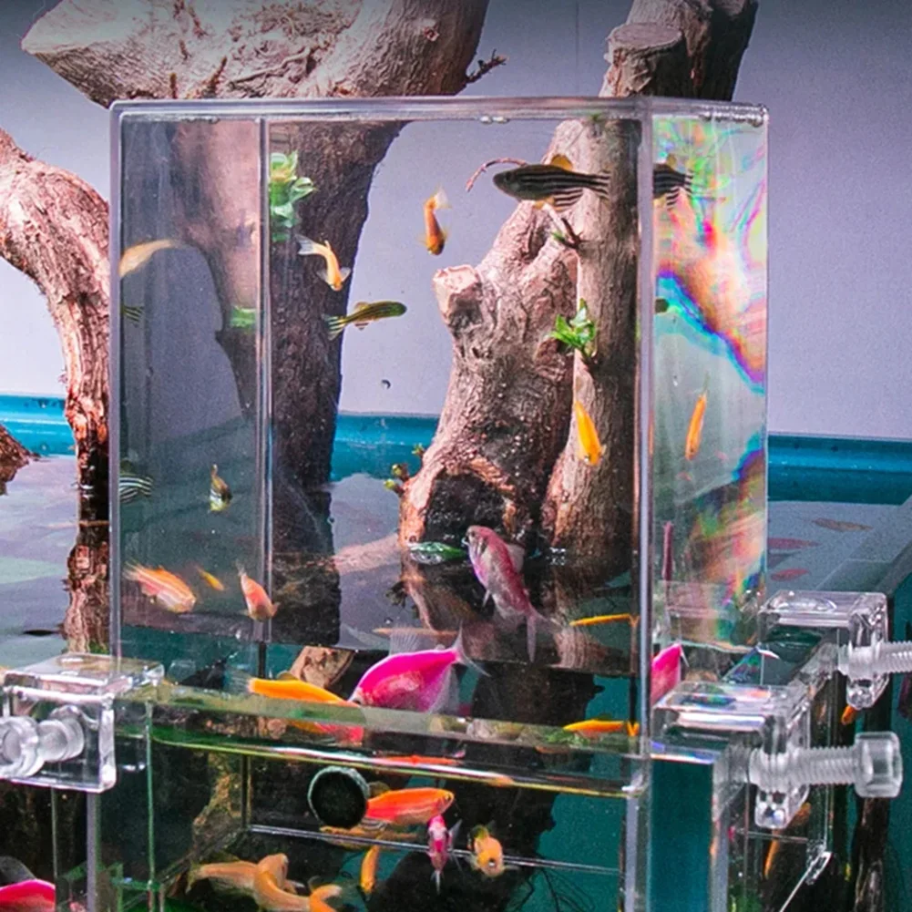 Extensor de Aquário Aéreo para Peixes 19x12x13cm com 3 Fivelas de Fixação - Imagem 5