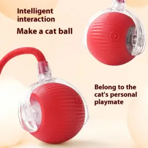 bola interativa para cães e gatos
