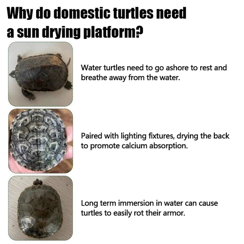 Plataforma Flutuante para Tartarugas de Acrílico com Ventosas - Imagem 6