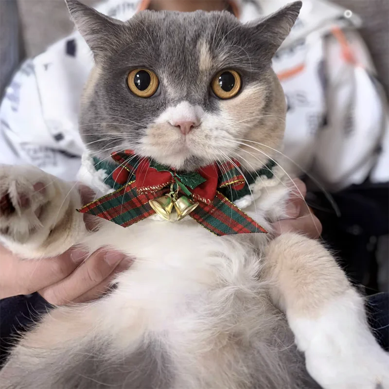 Colar Gravata Borboleta para Gatos e Cães Pequenos de Crochê - Imagem 3