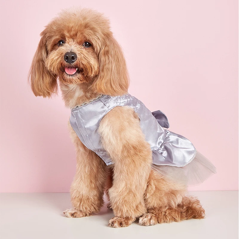 Vestido de Renda para Cães e Gatos de Porte Pequeno - Imagem 4