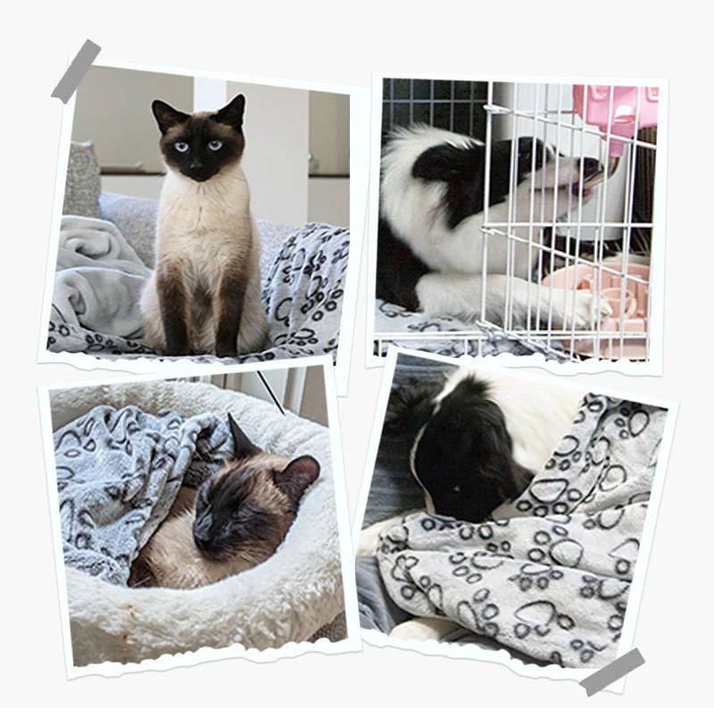 Cobertor para Pets de Lã Coral Macio para Cães e Gatos - Imagem 2
