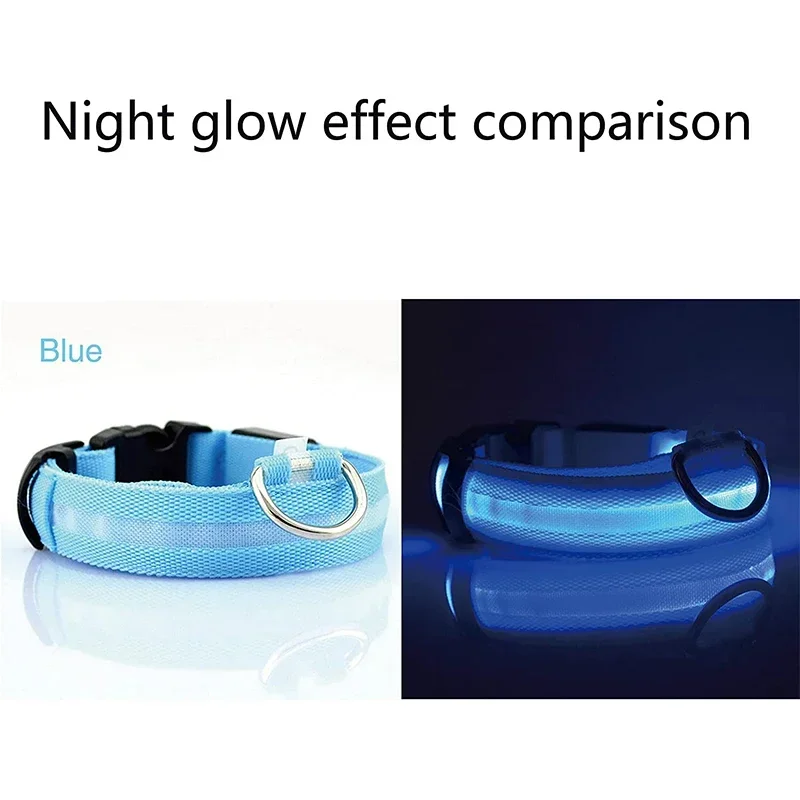 Coleira LED para Cães Recarregável USB com Faixa Luminosa - Image 4