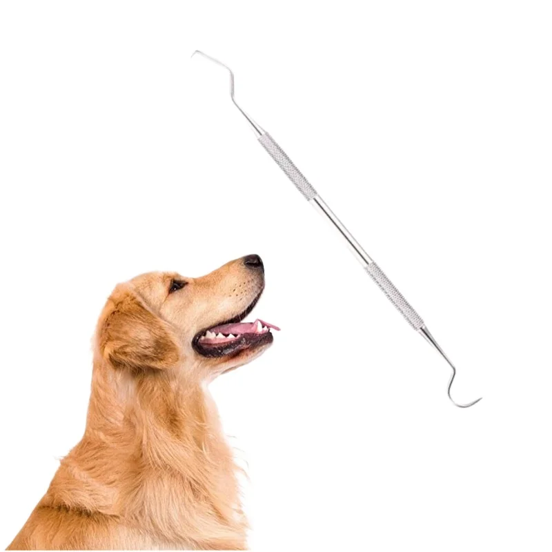 Kit Limpeza Dental Pet em Aço Inoxidável para Cães e Gatos - Image 2