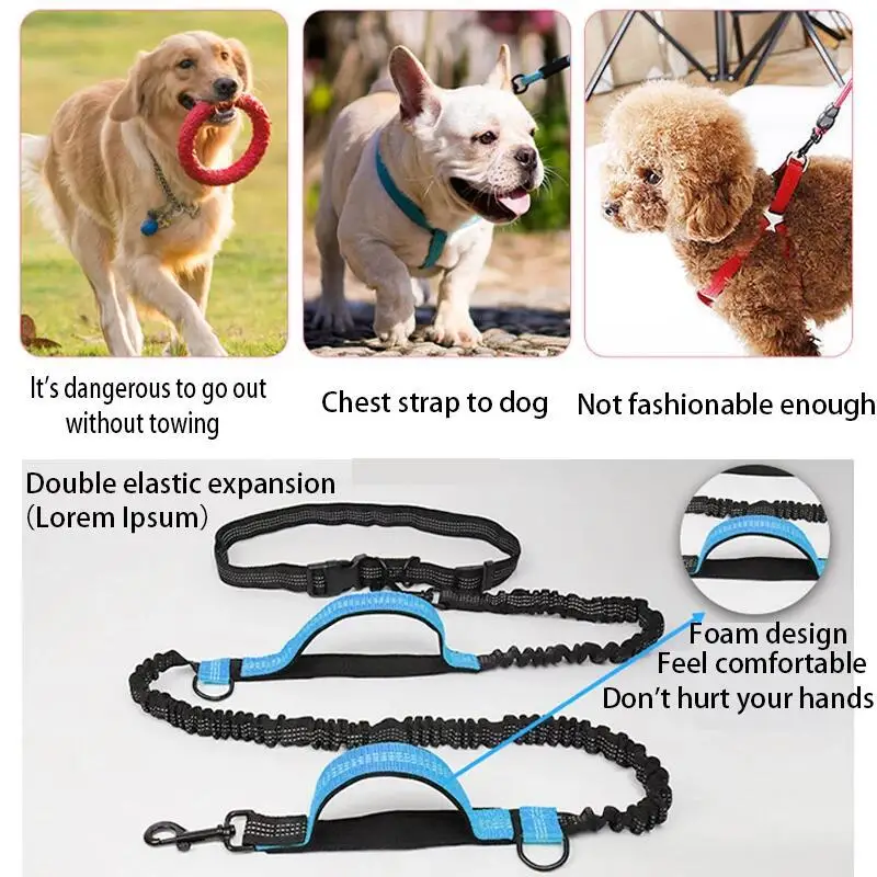 Coleira Retrátil para Cães de Nylon com Dupla Elasticidade e Faixa Refletiva - Imagem 4