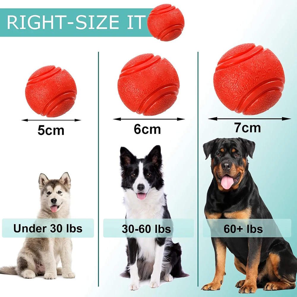 Bola Elástica para Cães e Gatos de Borracha Resistente à Mordida - Image 4