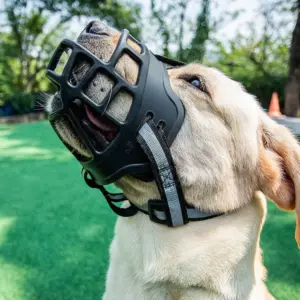 focinheira ajustável para cães com tira refletiva
