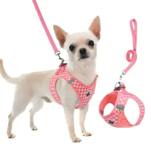 coleira colete floral para cães pequenos