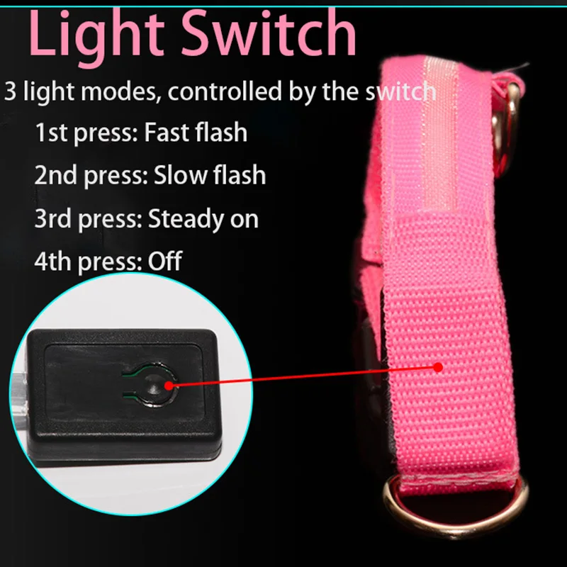 Coleira LED para Cães Recarregável USB com Luzes Piscantes Ajustáveis - Imagem 6
