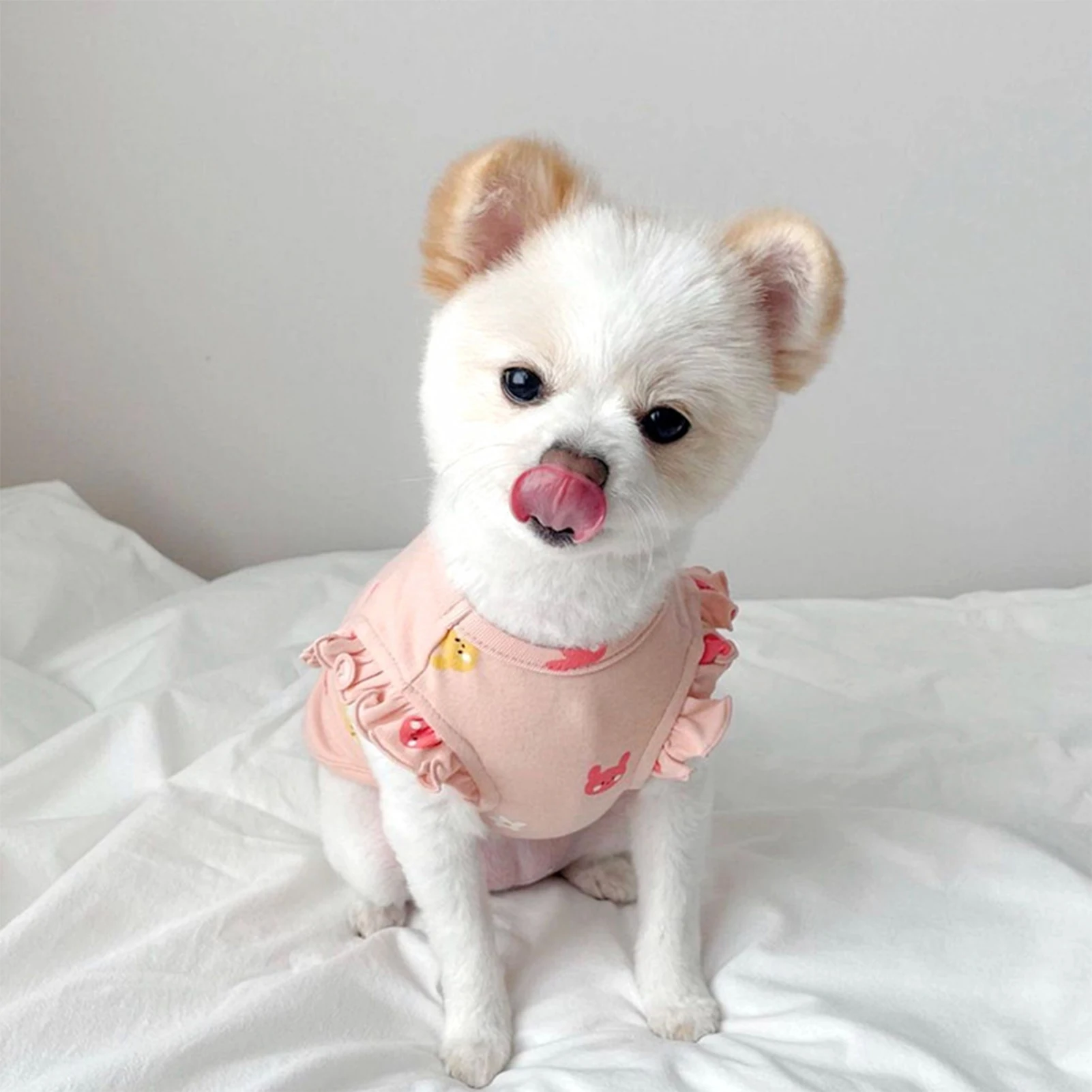Camiseta de Duas Pernas para Cães e Gatos Pequenos com Bordado de Urso - Image 2