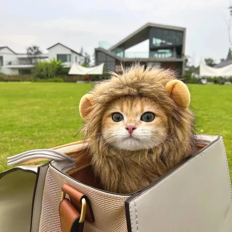 Chapéu Juba de Leão para Gatos e Cães Pequenos Cinza Claro - Imagem 4