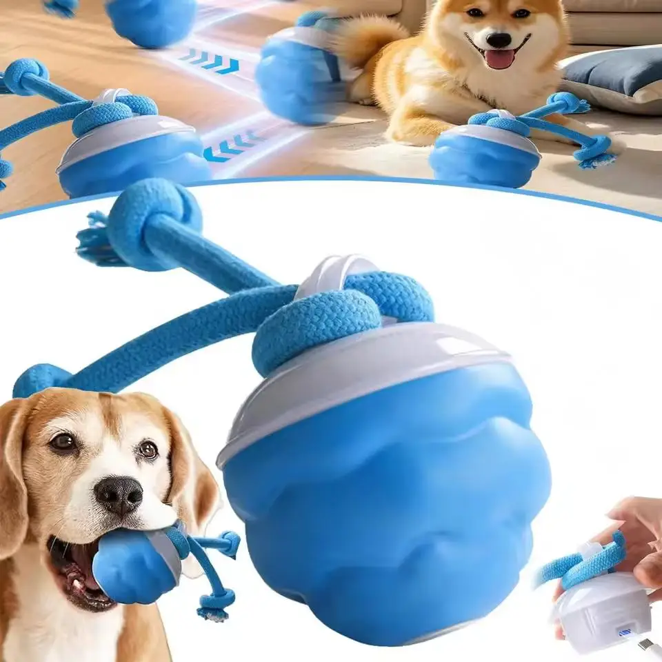 bola interativa para cães recarregável