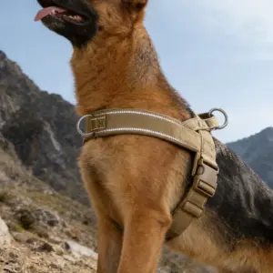 coleira tática para cães grandes