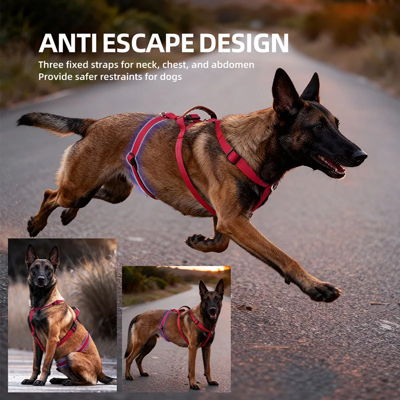 Arnês para Cães de Nylon com Alça Ajustável Antifu - Image 2