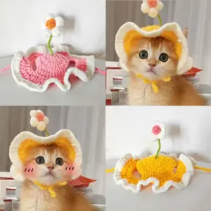chapéu de crochê para gato