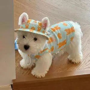 roupa de verão para cães com chapéu