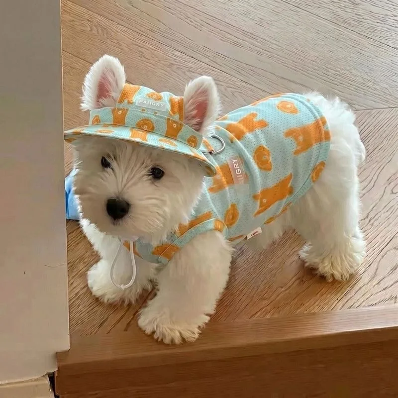 roupa de verão para cães com chapéu
