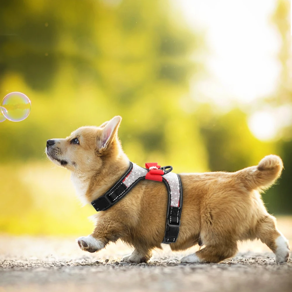 Coleira Peitoral para Cães Pequenos com Strass e Faixa Refletiva - Imagem 5