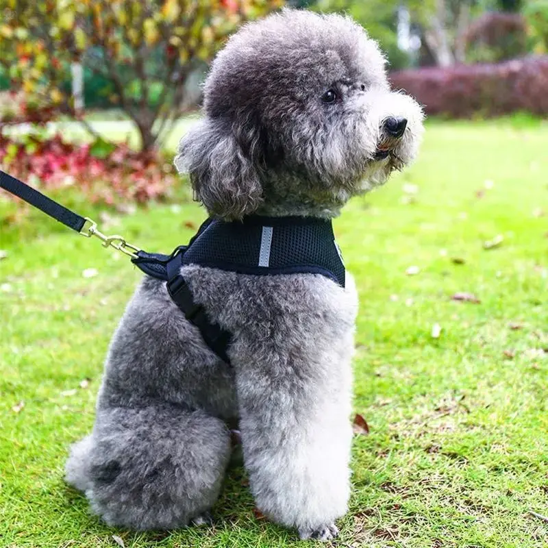 Coleira Peitoral para Cães e Gatos de Malha Ajustável com Faixas Refletivas - Imagem 4