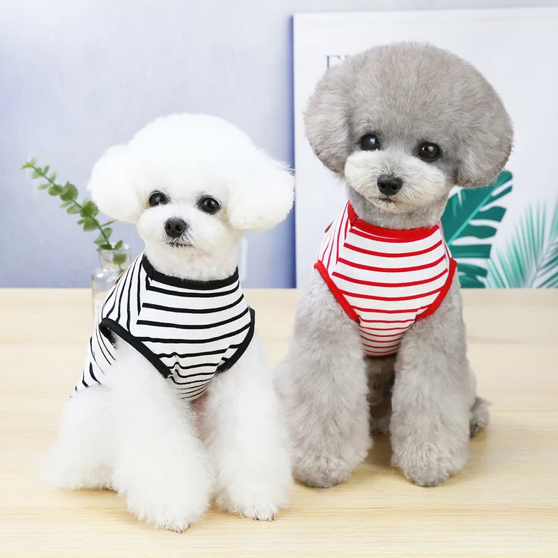 Colete Listrado para Cães Pequenos Primavera Verão - Imagem 5