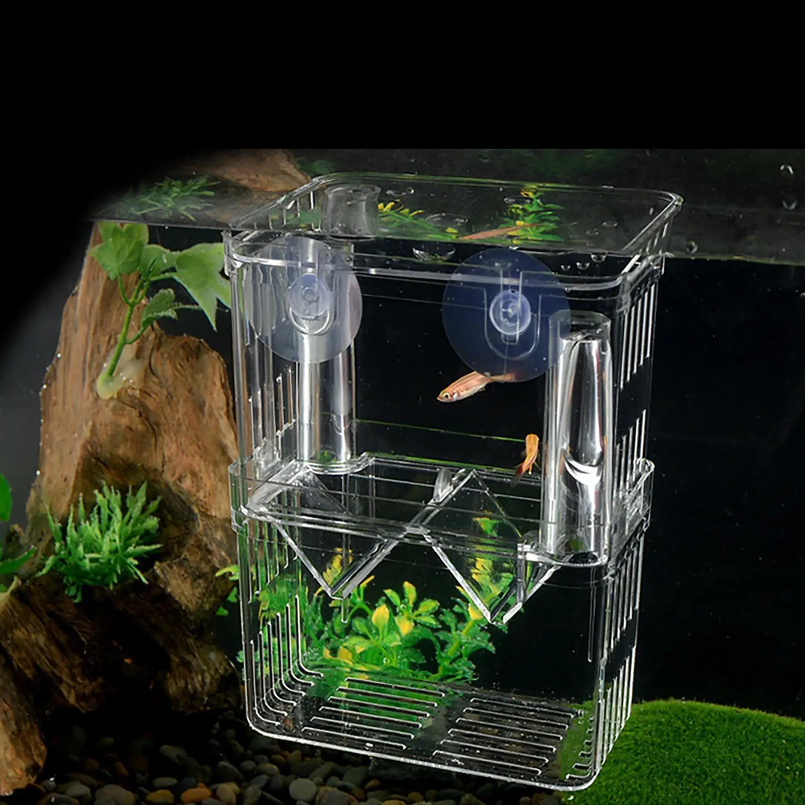 Caixa de Acrílico para Criação de Peixes com Divisória para Aquário - Imagem 4