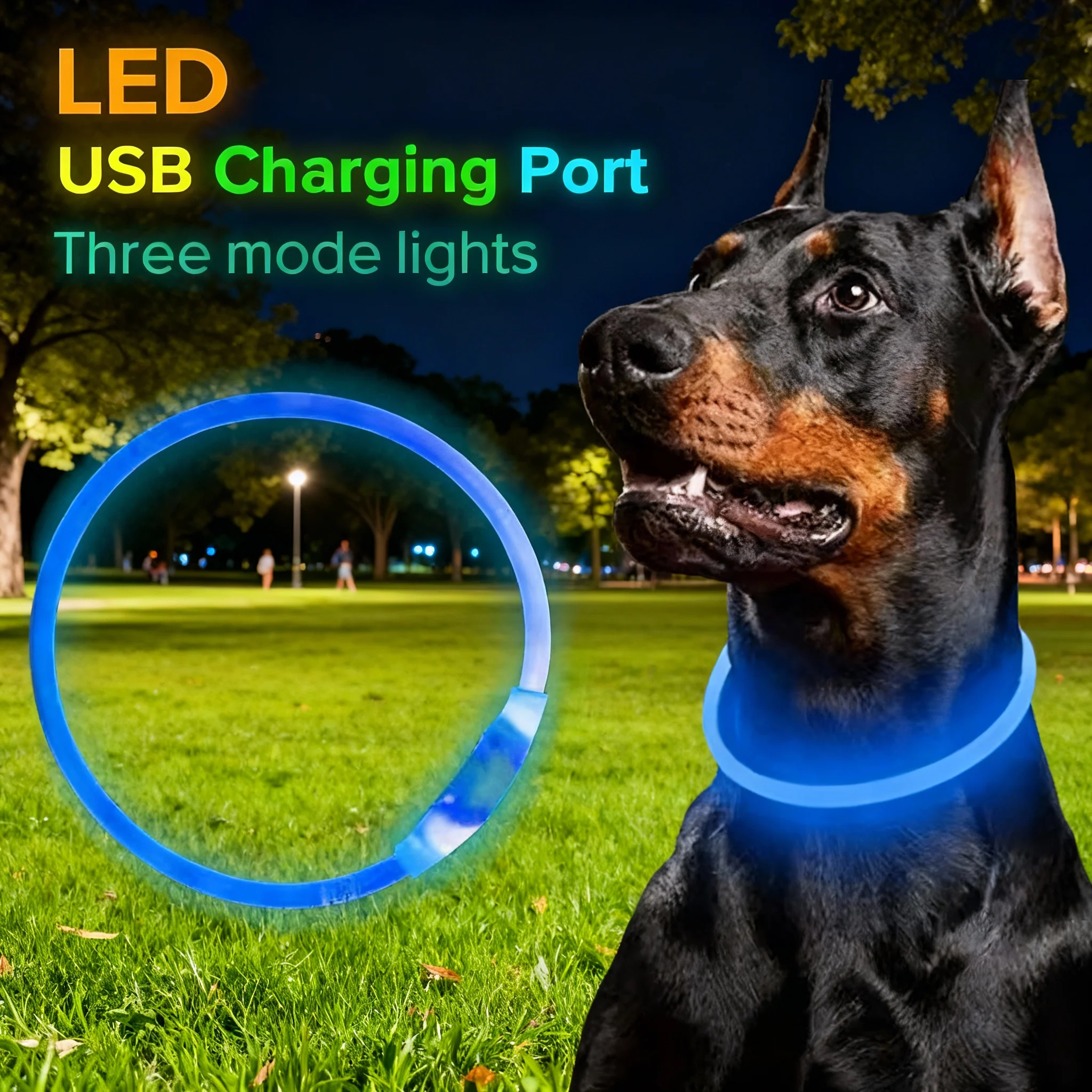 Coleira LED para Cães Recarregável USB Ajustável e Visível - Image 2