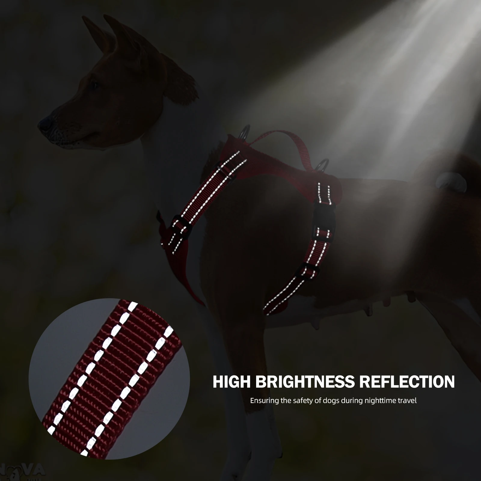 Coleira Peitoral Reflexiva para Cães Pequenos e Médios - Imagem 3