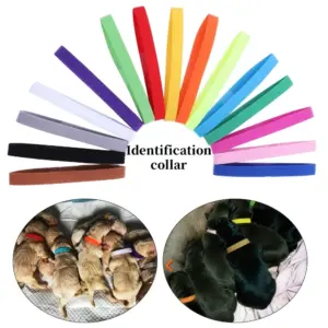 coleira de identificação para filhotes