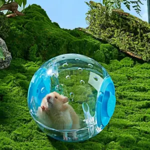 bola de exercício para hamster transparente