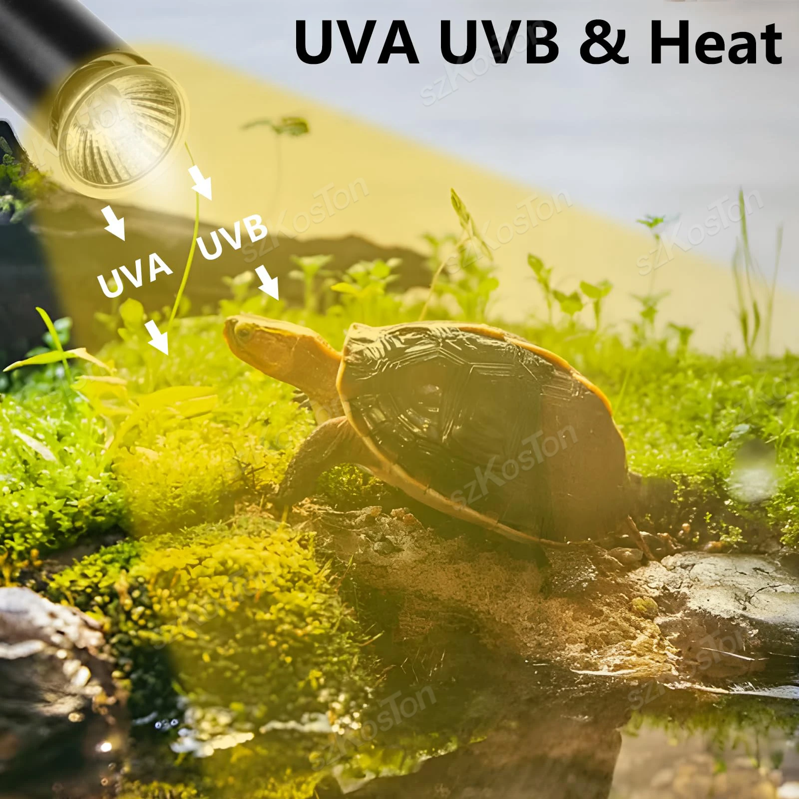 Lâmpada de Aquecimento para Répteis 50W UVA UVB com Clipe Ajustável - Imagem 2