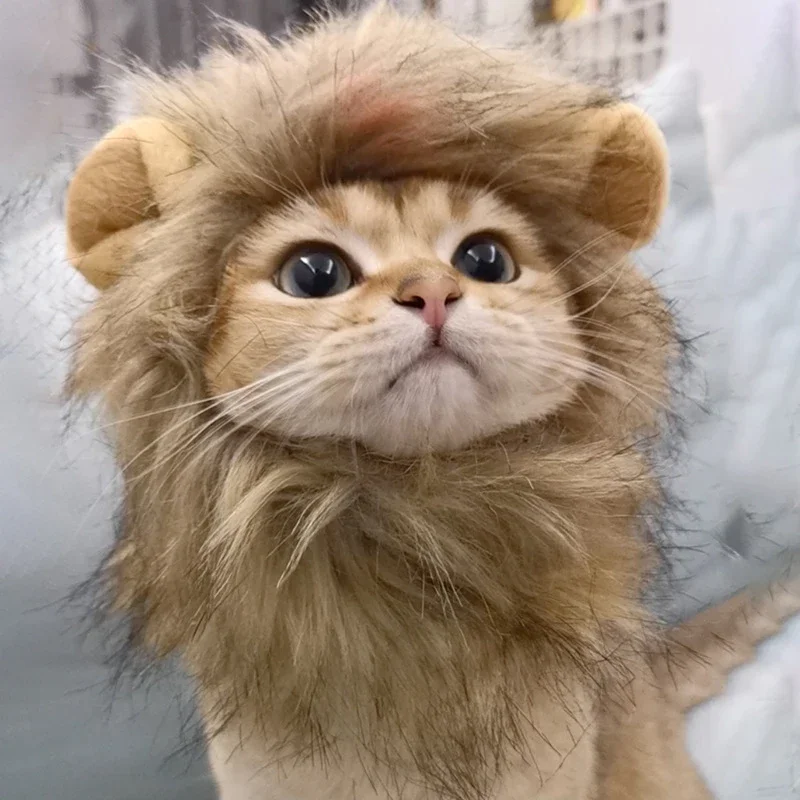 Peruca Juba de Leão para Gatos e Cães Pequenos para Fantasia - Imagem 3