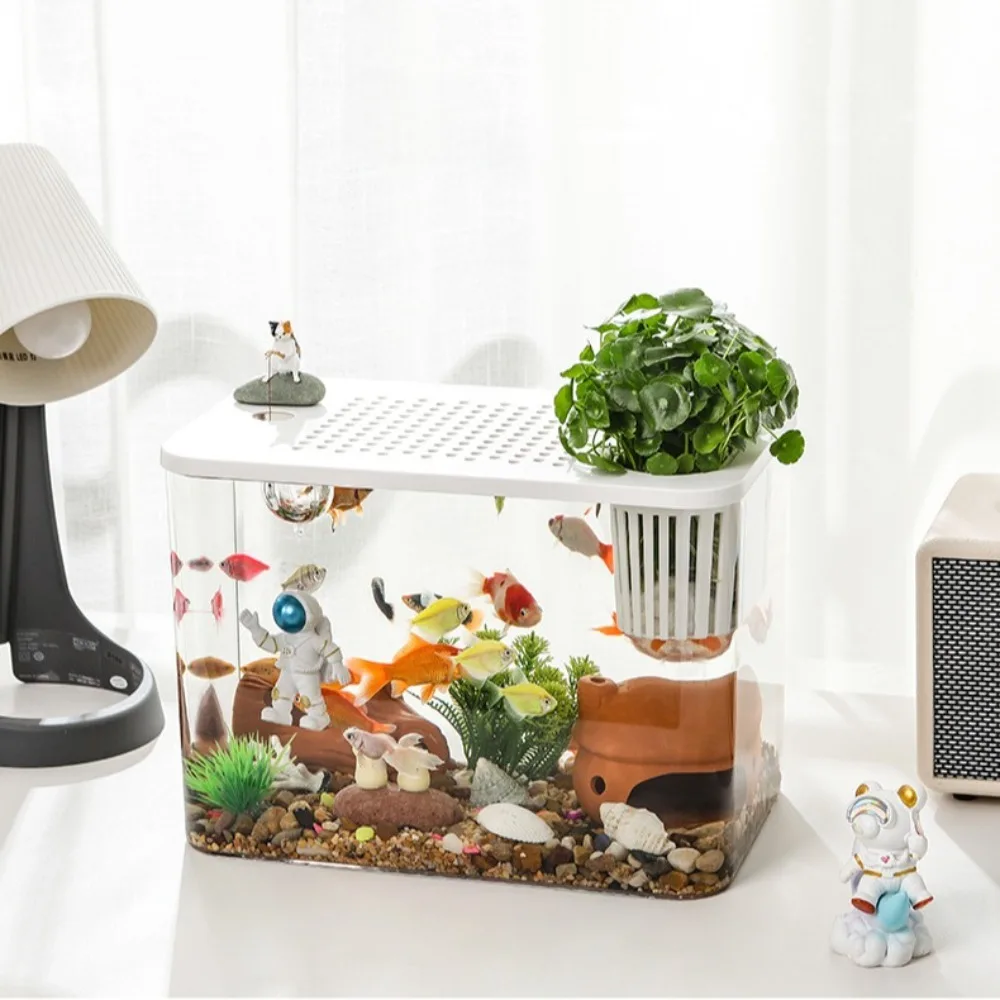 Aquário para Tartarugas de PET+ABS Transparente com Tampa e Orifício de Alimentação - Imagem 3