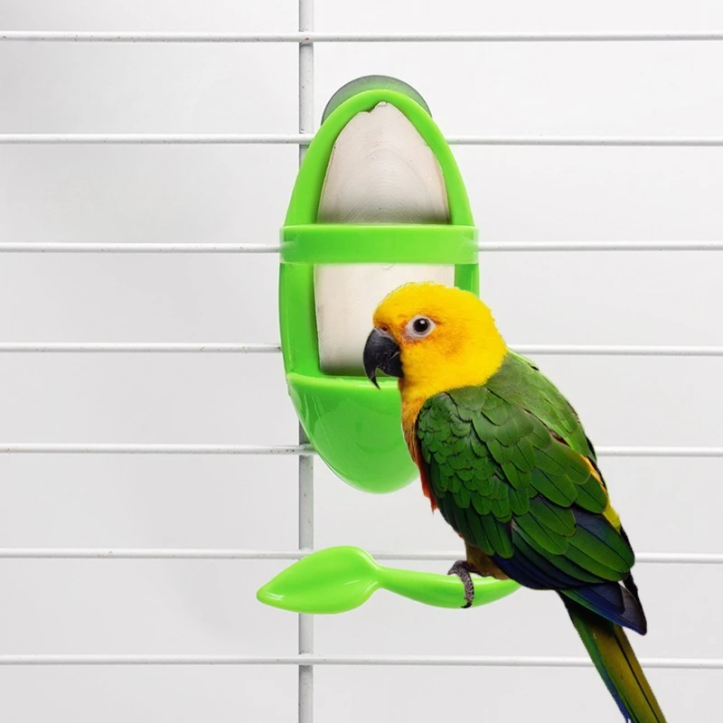 Suporte Espinha de Peixe para Pássaros Plástico Verde Encaixe na Gaiola - Imagem 6