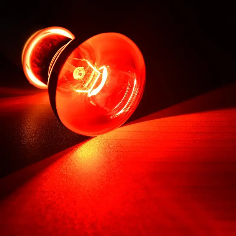 Lâmpada de Aquecimento E27 para Répteis 60/75/100W Infravermelho - Imagem 3