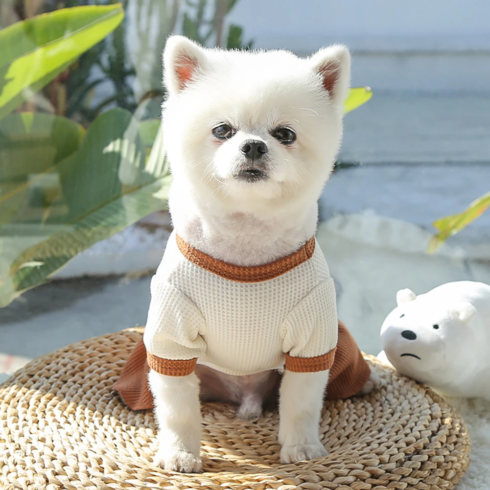 Vestido para Cães e Gatos de Poliéster Branco Tamanho PP - Image 4