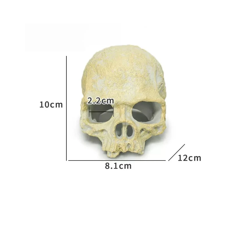 Decoração de Caveira Artificial para Terrários de Répteis Durável - Image 6